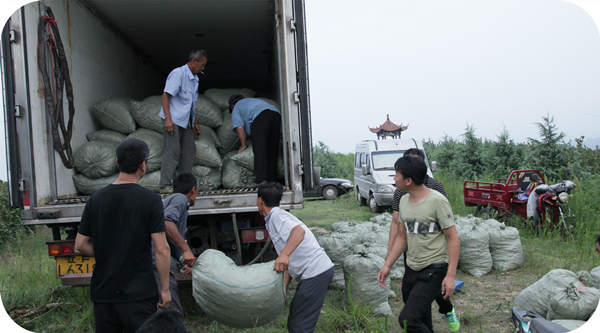 榛鲜果运往全国各地