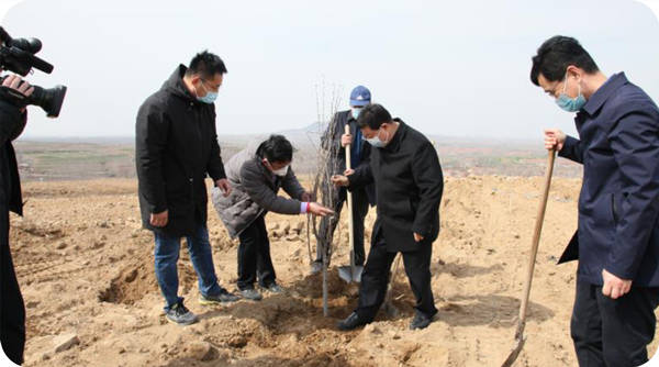 2020年诸城市委书记桑福岭在万亩榛子基地参加植树活动