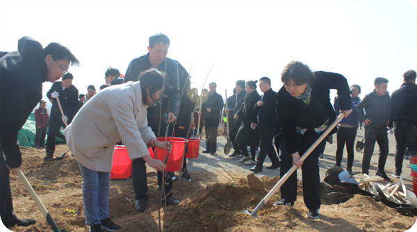 Liu Fengmei, Deputy Secretary of the Zhucheng Municipal Party Committee, Mayor Liu Fengmei participated in the 2019 Spring Arbor Day afforestation site