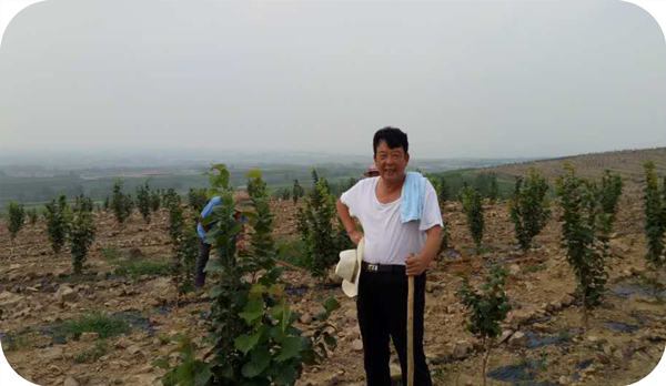 Wei Benxin, the founder of Shandong Wei Zhen brand, was rated as Shandong Poverty Alleviation and Dedication Advanced Individual by Shandong Provincial Poverty Alleviation and Development Leading Group