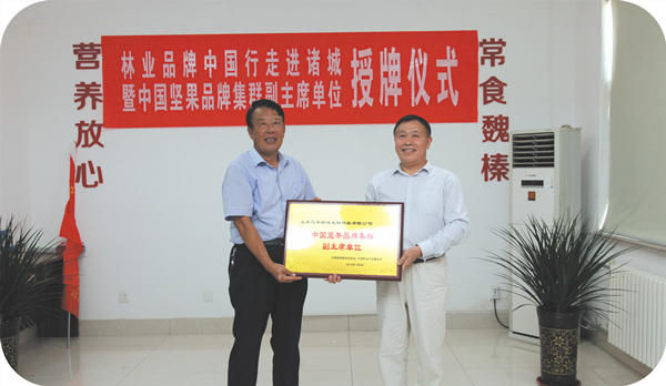 Chairman of the Brand Building Branch of the China Forestry Industry Federation Jiang Zhouming, director of the Green Industry Professional Technical