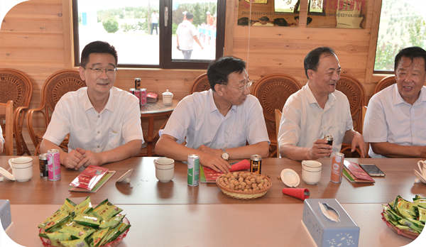 Wang Zhenjun, Secretary of the Party Leadership Group of Zhucheng Forestry Development Center, and experts studied and planned the construction of Hazelnut Demonstration Base