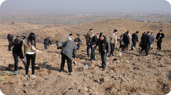 华山榛业万亩榛子标准化示范基地榛子栽植