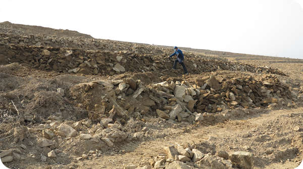 Wei Benxin, the founder of Wei Zhen brand, checks the construction of the terraces of the Hazel base