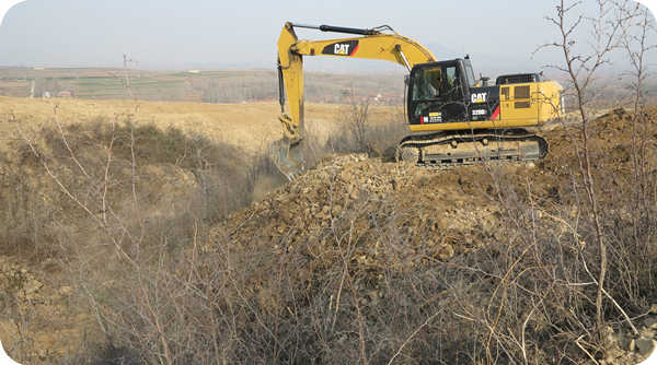 Wei Benxin, the founder of Wei Zhen brand, plans the construction of hazelnut planting base