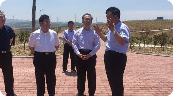Ma Qingmin, Vice Mayor of Weifang City, visited the base for investigation
