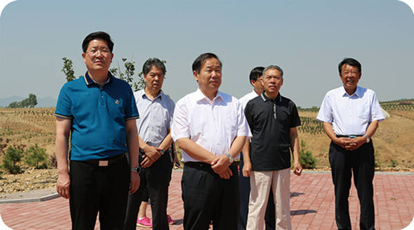 Ma Fuyi, Deputy Director of Shandong Provincial Department of Natural Resources and Deputy Director of Forestry Bureau, visited the base for investigation